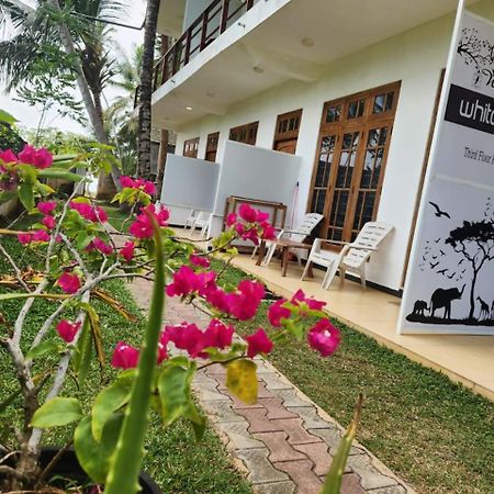 White Lion Paradise Dikwella Batigama Dış mekan fotoğraf